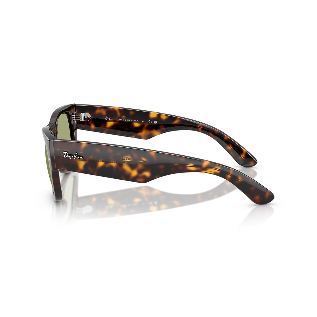 RB0840S 902/4E 51-21 Mega Wayfarer photo
