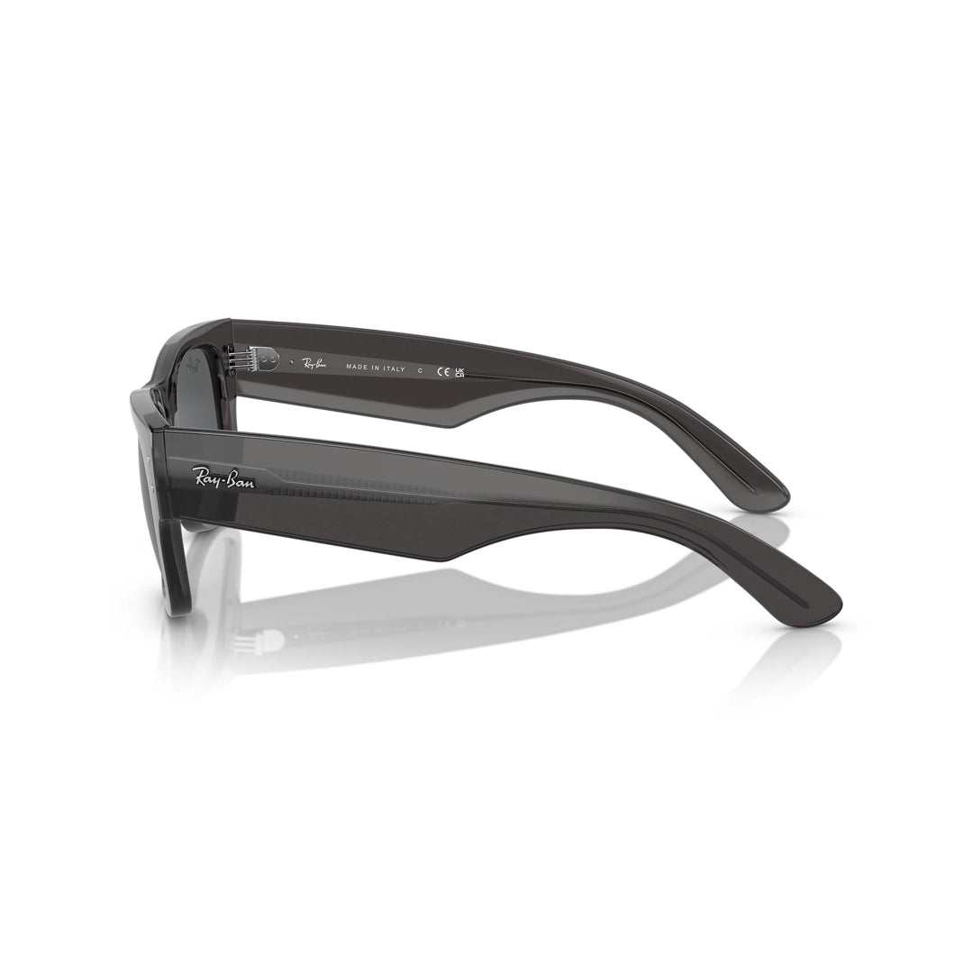 RB0840S 1406/B1 51-21 Mega Wayfarer photo